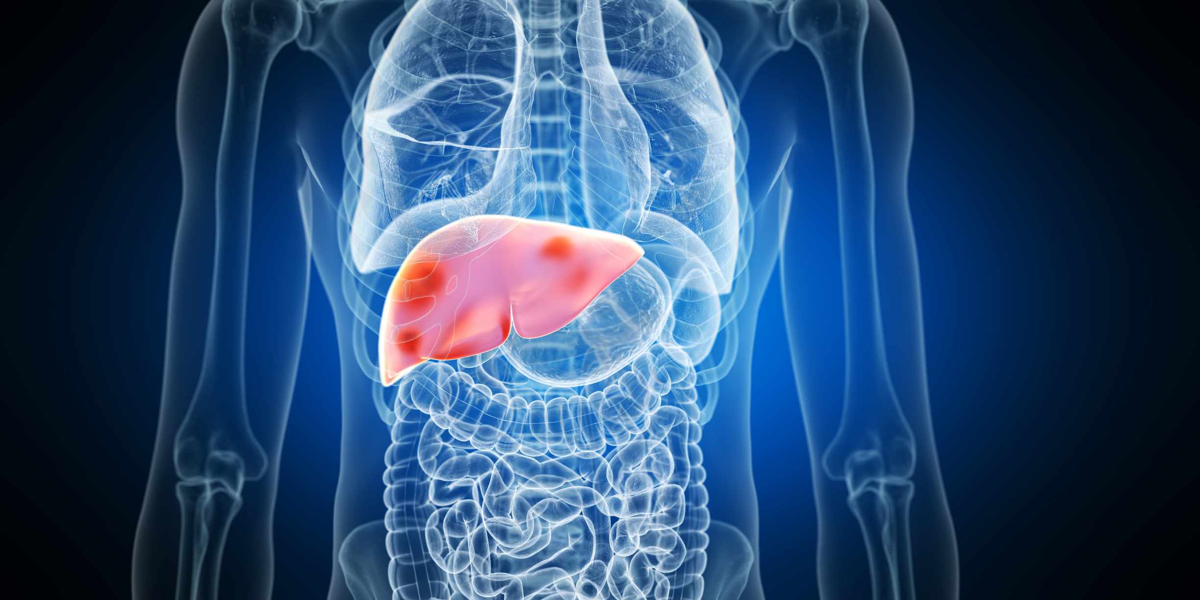 Autoimmune liver disease: Warning signs, lifestyle changes, treatment