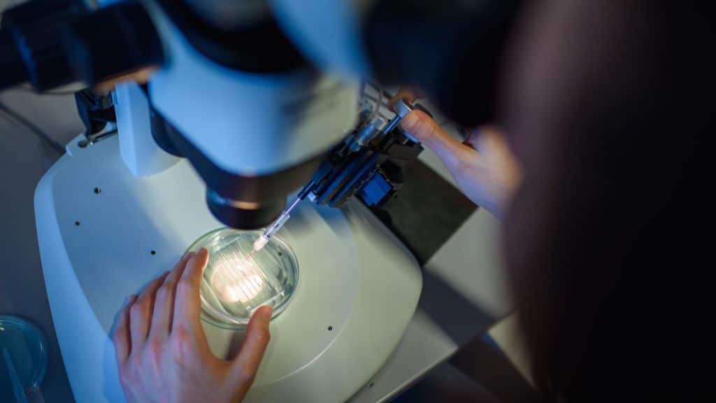 Circovirus involved in human hepatitis: Study
