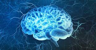 Brain disorders and human cognition: An insight