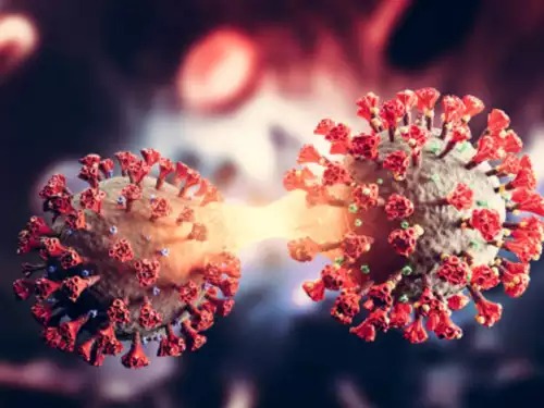 COVID XBB 1.16 variant: Tracker finds high cases in India, know the symptoms