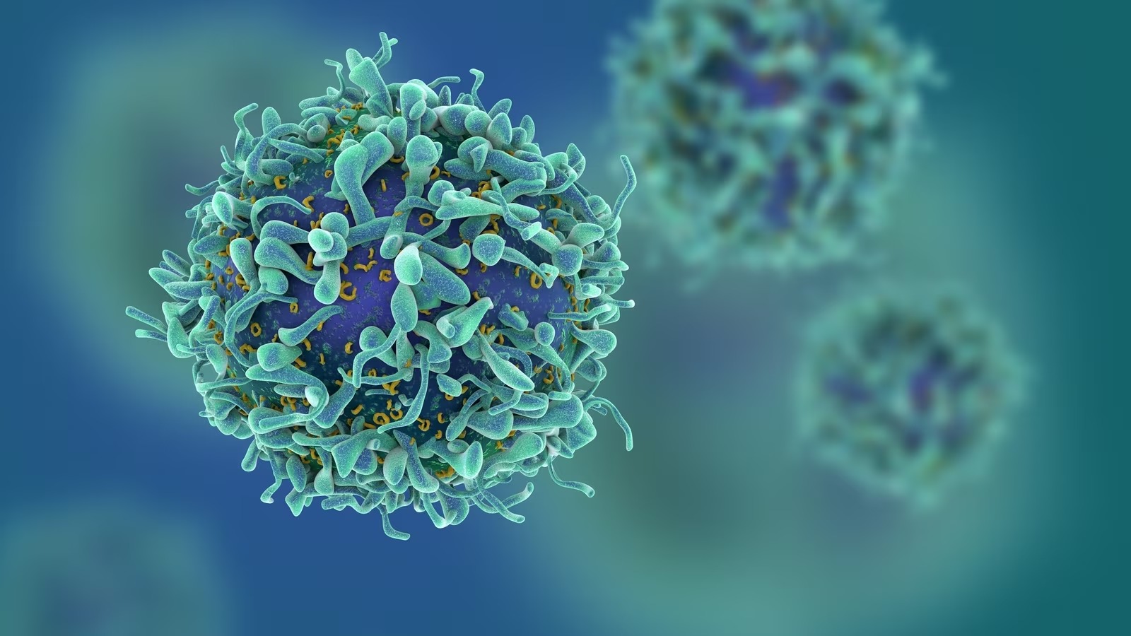 Researchers discover how cancer evades immune system detection, spreads