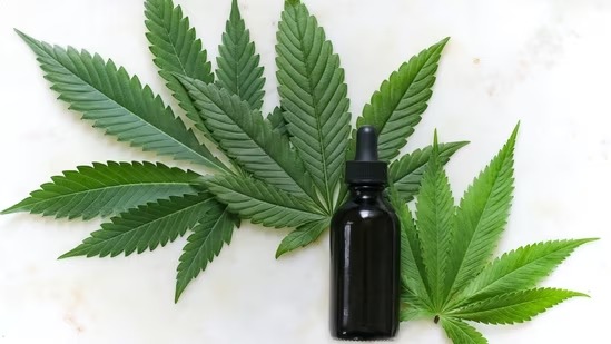 Why hemp seed oil is the perfect summer skincare solution? Check out its amazing benefits