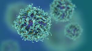 How cancer cells migrate to the brain? Study reveals