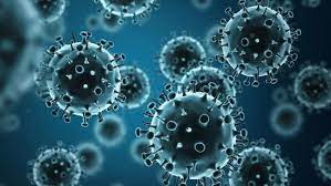 Chromosomal breakage caused by virus can lead to cancer: Study reveals