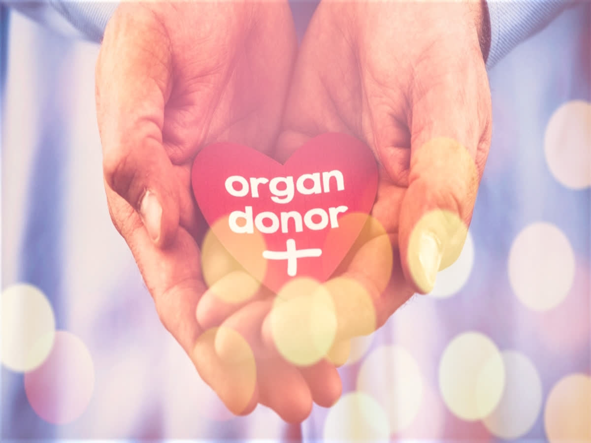 Structural reforms in offing in organ donation, transplant sector: Health Minister Mansukh Mandaviya