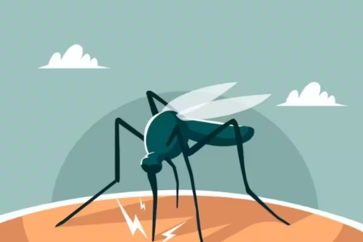 Overflowing Yamuna raises risk of dengue; common signs and symptoms of the disease you should know
