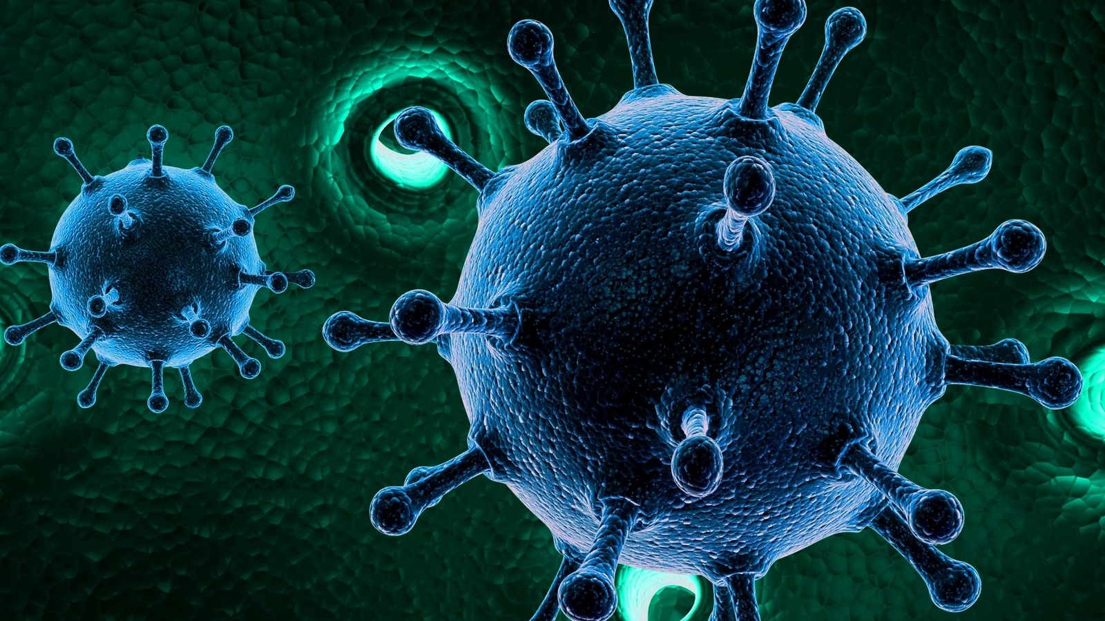 Immune response against bystander virus, not SARS-CoV-2 causes long Covid: Study