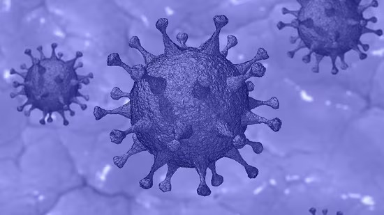 New Covid variant Eris detected in Maharashtra; should India be worried? What experts say