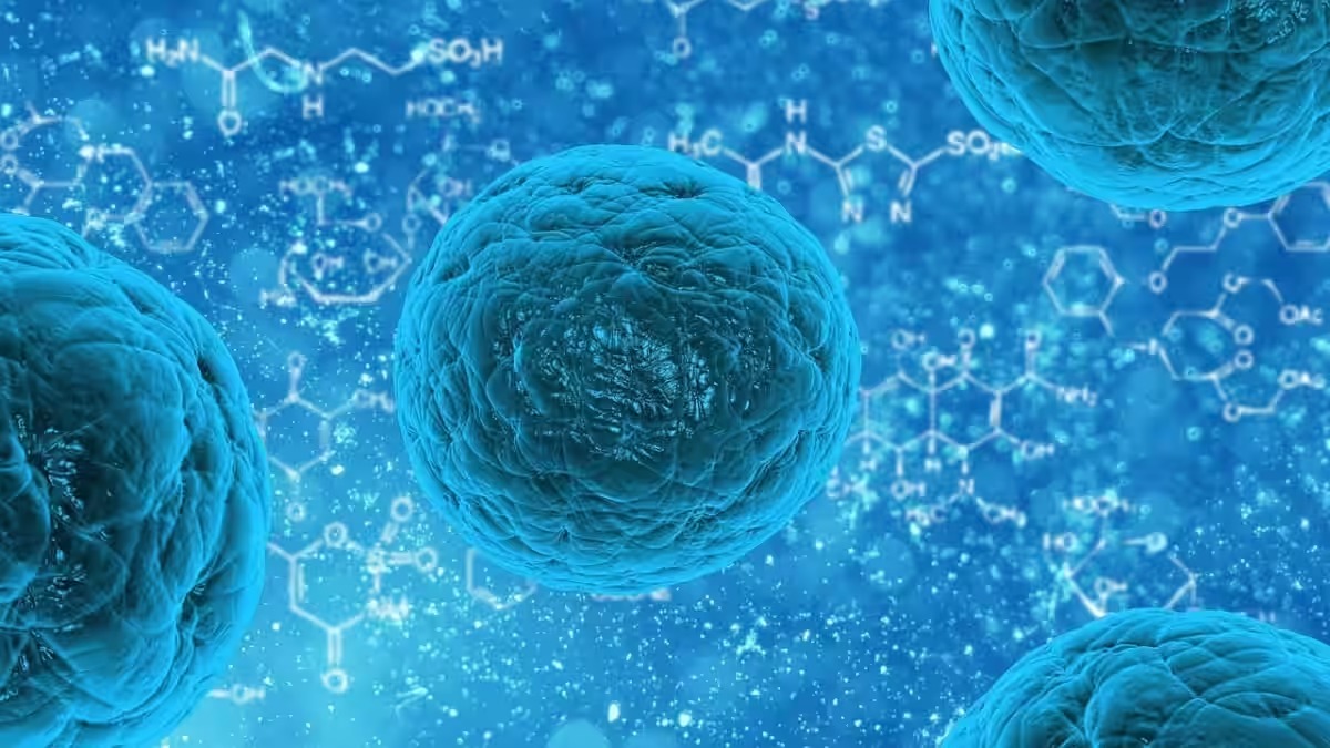 'Disease X' could be 20 times deadlier than COVID-19, says expert