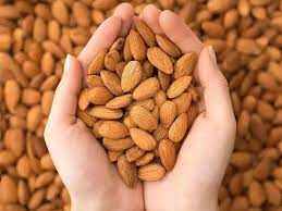 Almonds with energy-restricted diets aid in weight loss, improve cardiometabolic health: Study