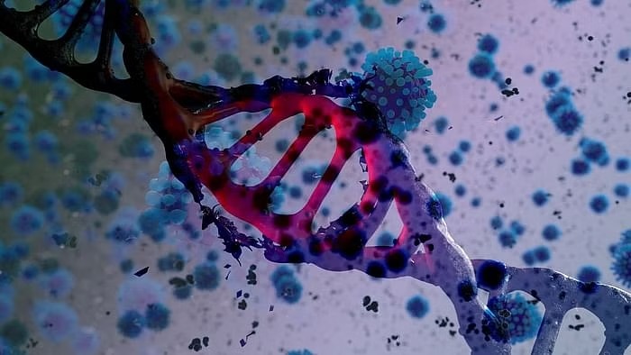 Long Covid study links lingering virus with bowel-to-brain havoc