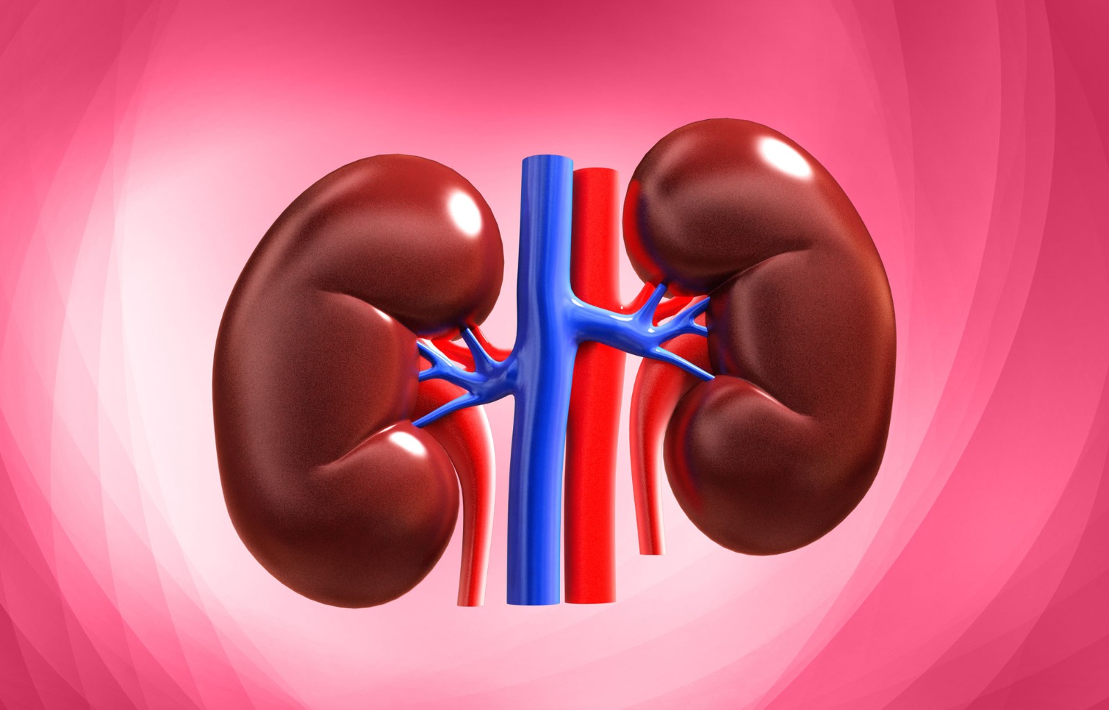 Too much sugar is harming your kidneys. Here's how